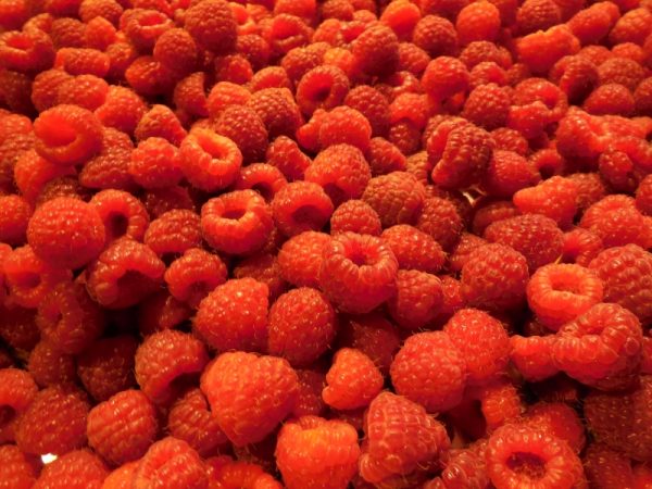 raspberries